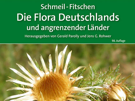 Die Flora Deutschlands und angrenzender Länder