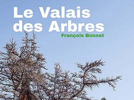 Le Valais des Arbres / Bäume im Wallis