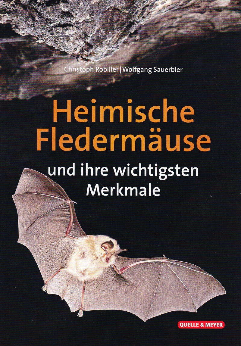 Heimische Fledermäuse und ihre wichtigsten Merkmale