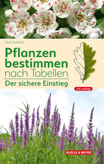 Pflanzen bestimmen